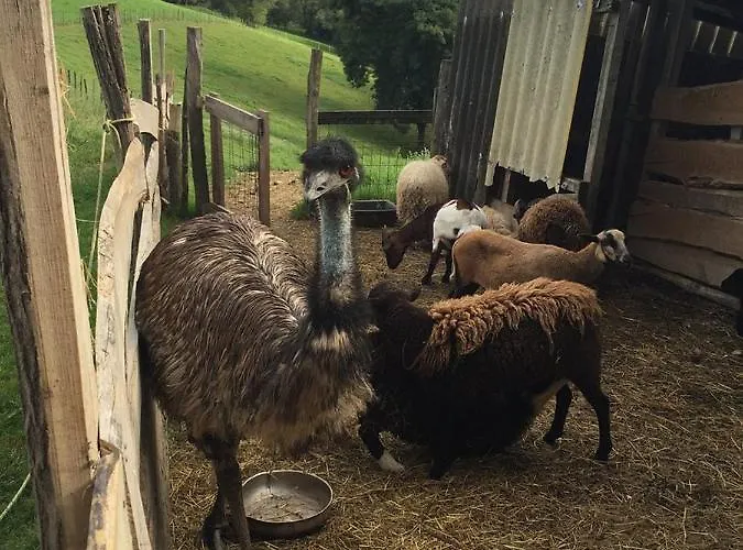 Сasa de vacaciones Zelai-eder *